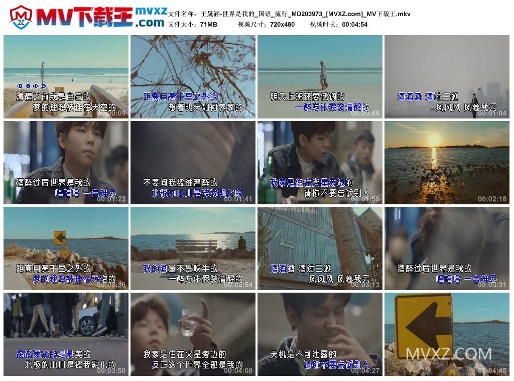 王晟涵-世界是我的_国语_流行_MD203973